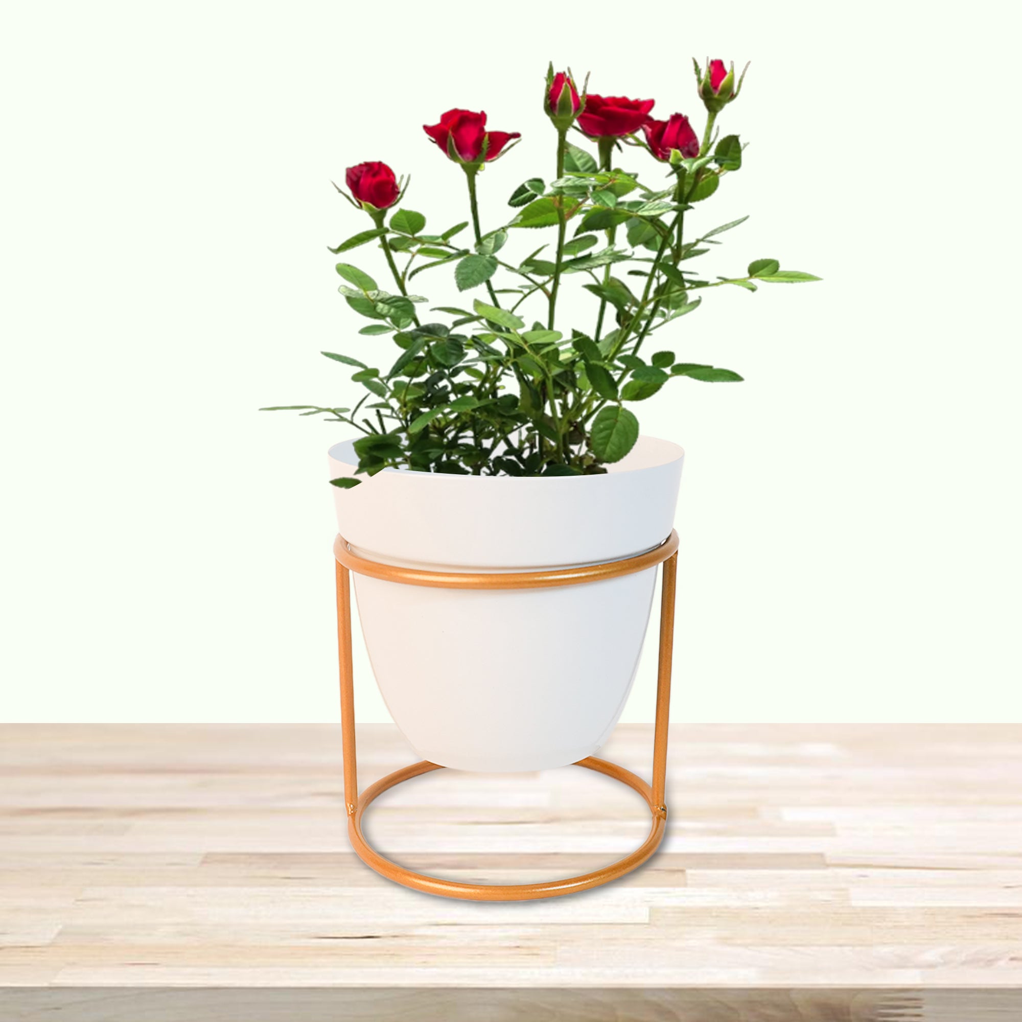 Indoor Metal decor Vase/Planter- Whiyte Set of 2