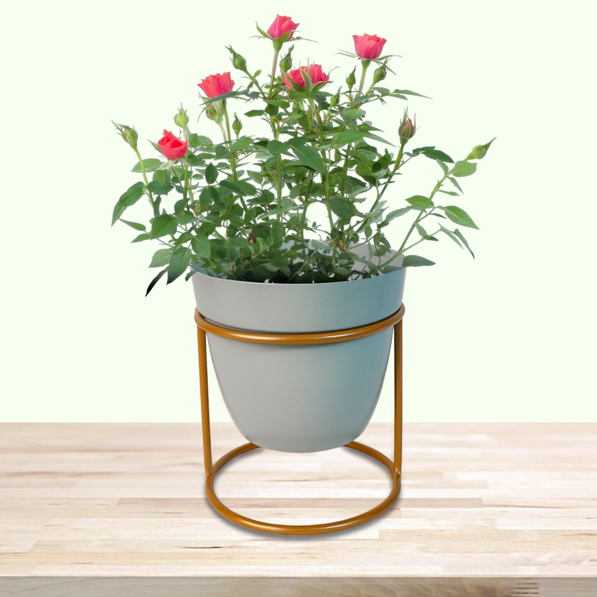 Indoor Metal decor Vase/Planter- White