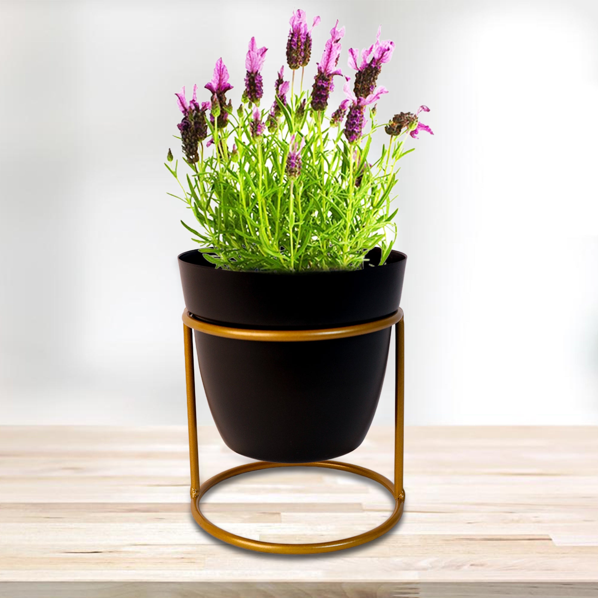 Indoor Metal decor Vase/Planter- Black Set of 2