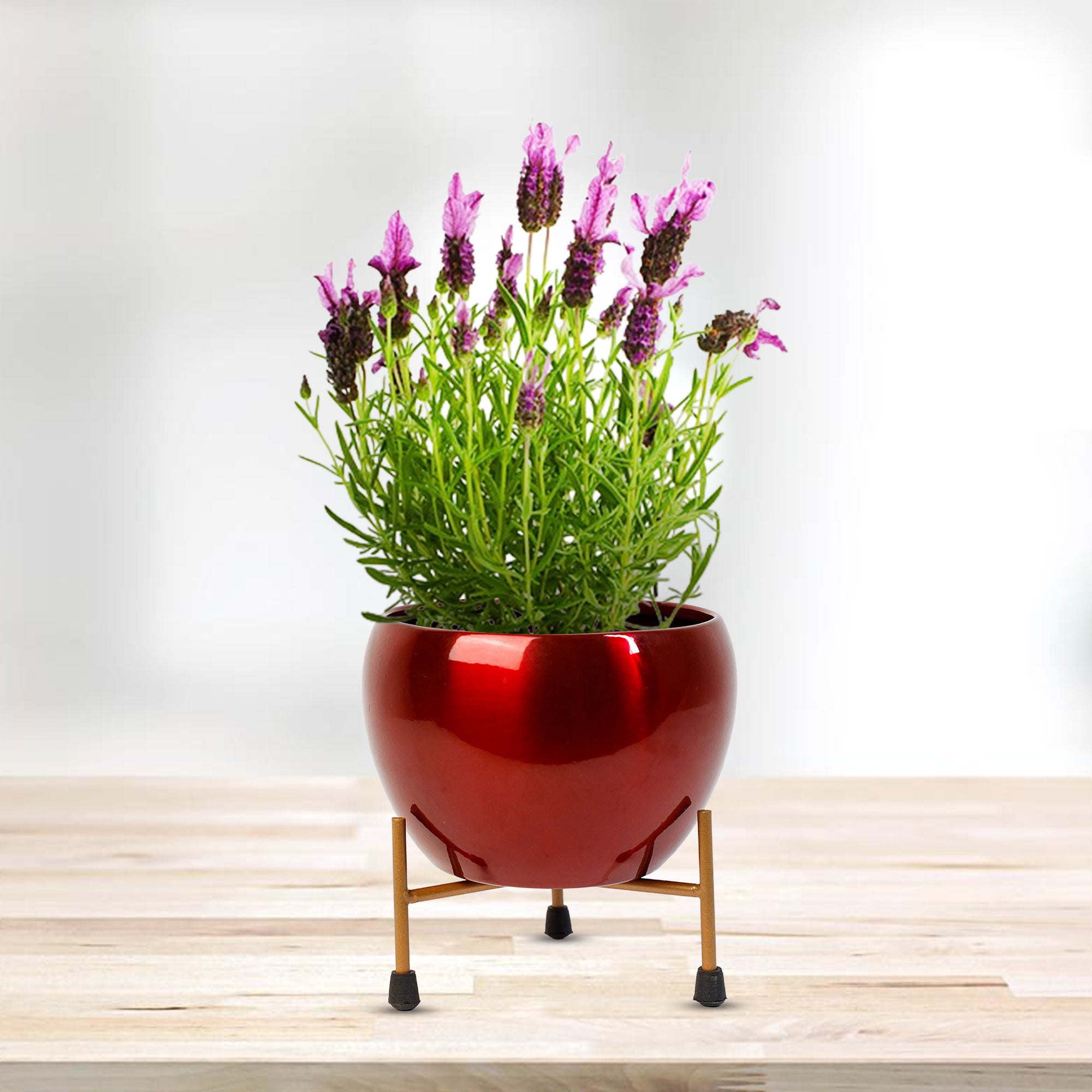 Indoor Metal decor Vase/Planter- Red Set of 2