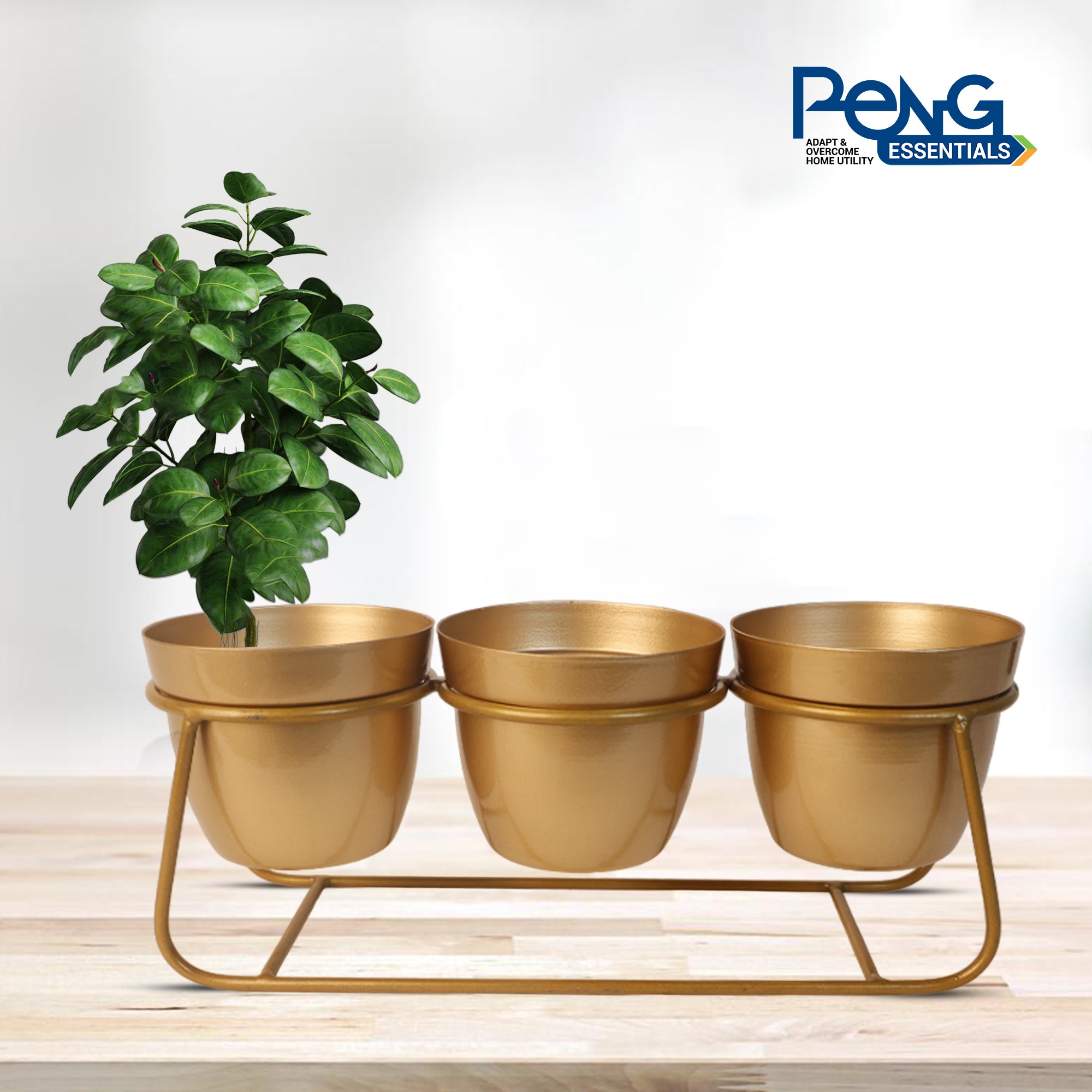 Indoor Metal decor Vase/Planter- Gold Set of 2