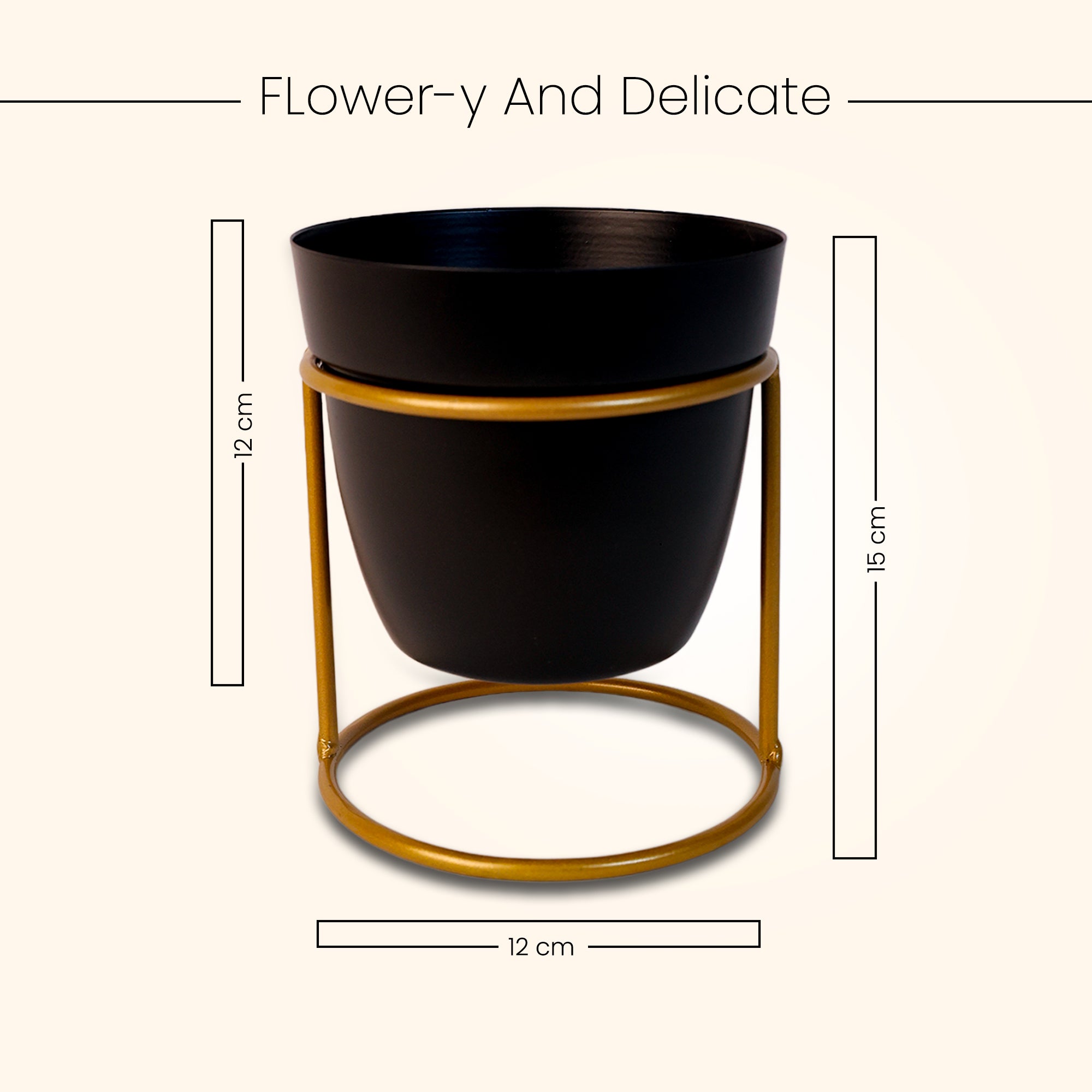 Indoor Metal decor Vase/Planter- Black Set of 2