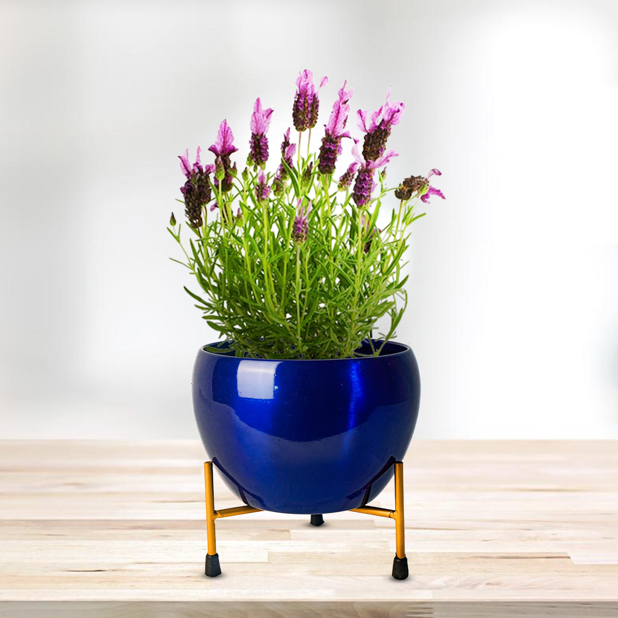 Indoor Metal decor Vase/Planter- Royal Blue