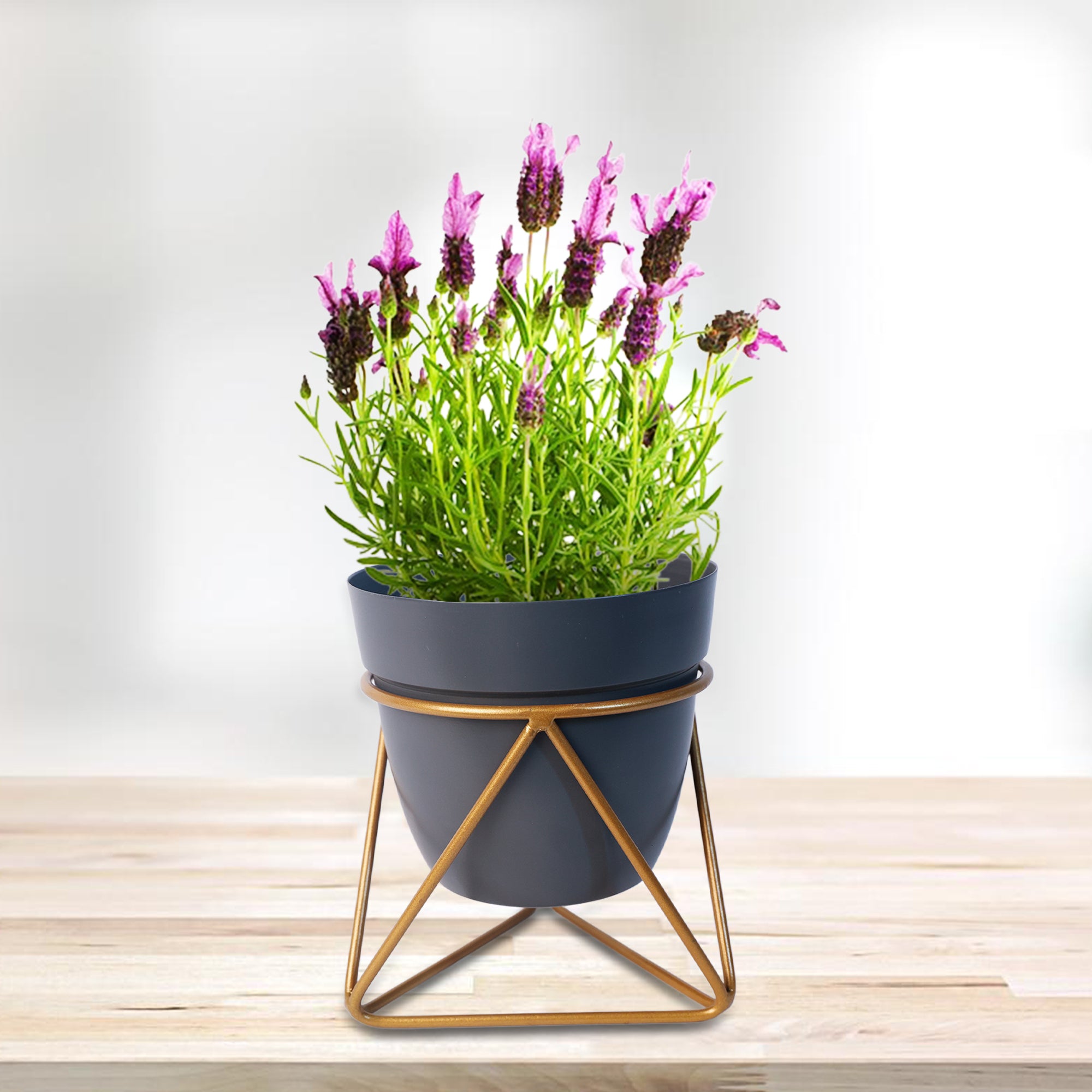 Indoor Metal decor Vase/Planter- Dark Blue