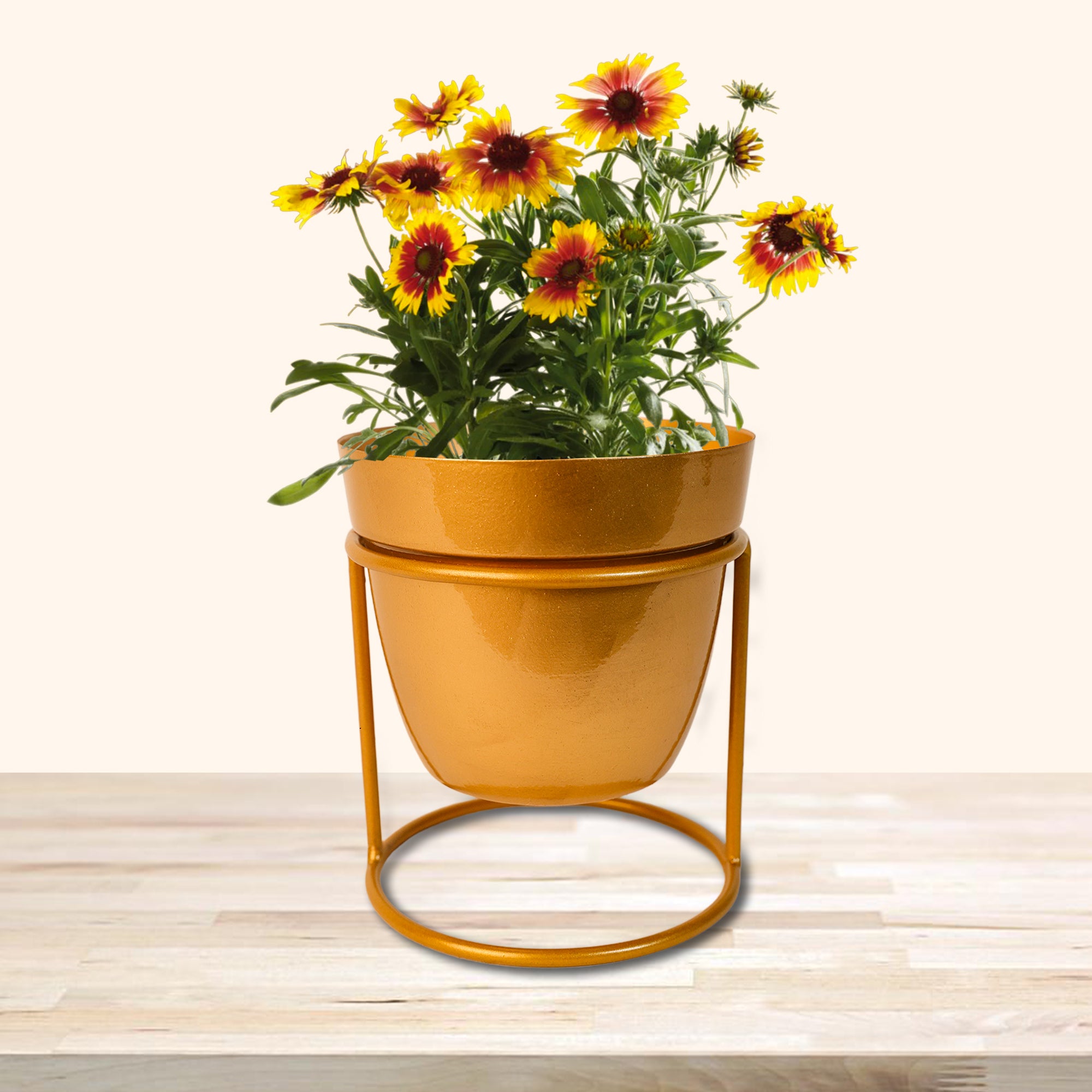 Indoor Metal decor Vase/Planter- Gold