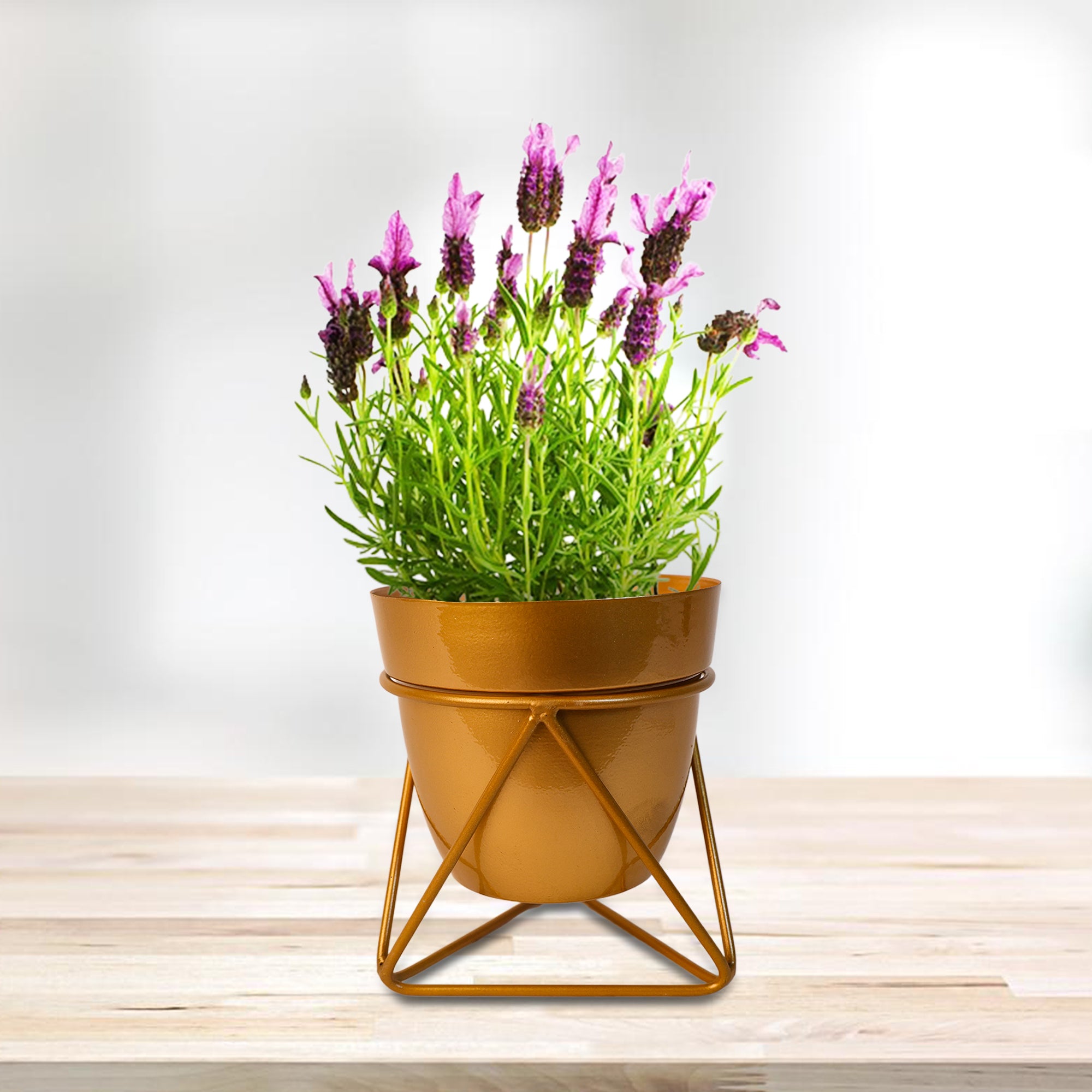 Indoor Metal decor Vase/Planter- Gold