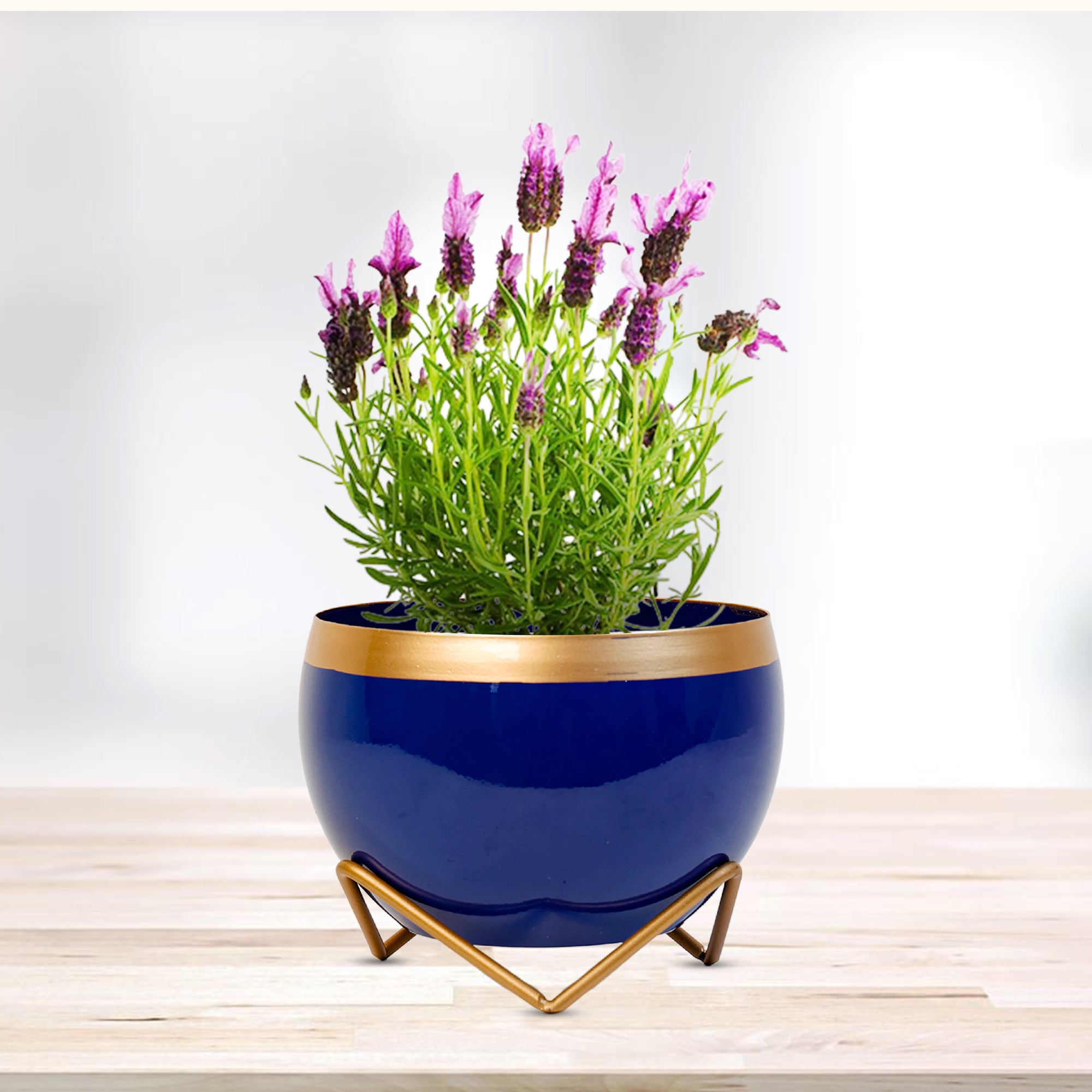 navy and gold plant pot Indoor Metal decor Vase/Planter- Blue & Gold