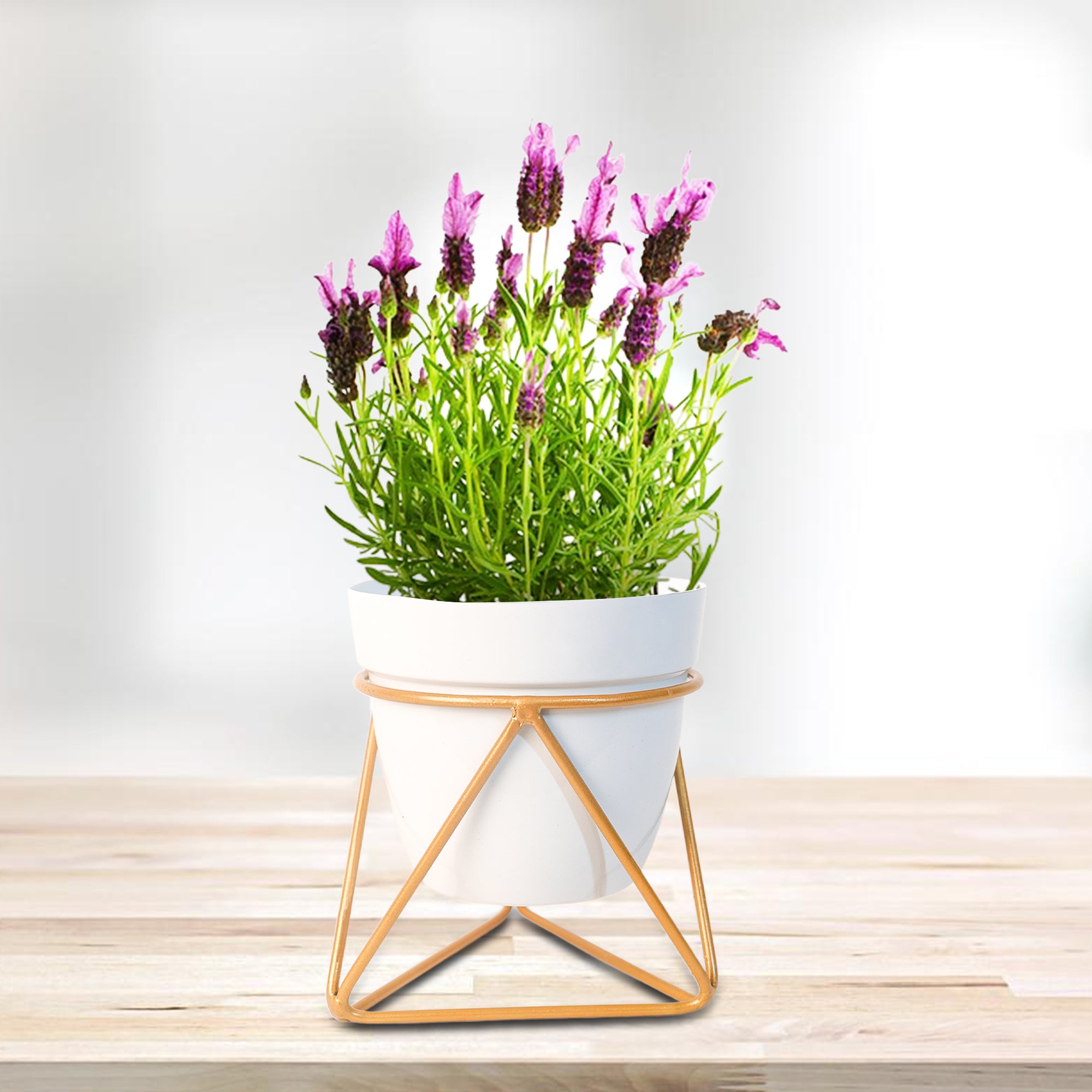 Indoor Metal decor Vase/Planter- White