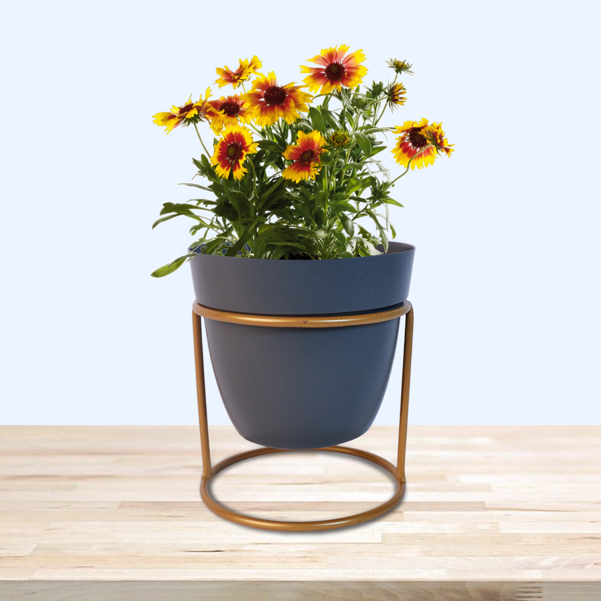 Indoor Metal decor Vase/Planter- Light Blue