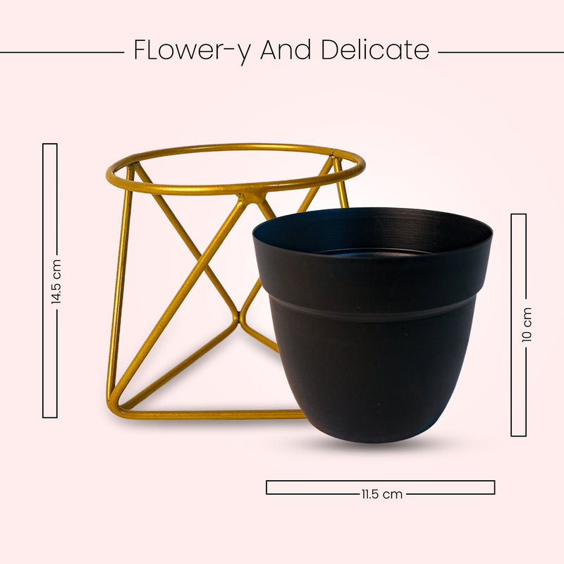 Home Décor Vase with Stand I Flower Pot / Indoor Plant Vase I DeskTOP / BedRoom Corner Table / Home Décor Centepiece / Living Room Décor  ShowPiece I 5'' I Metal BLACK &GOLD I SET OF 2