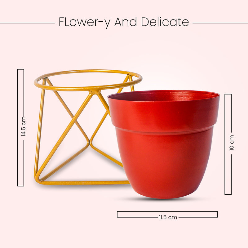 REVA*  Home Décor Vase with Stand I Flower Pot / Indoor Plant Vase I DeskTOP / BedRoom Corner Table / Home Décor Centepiece / Living Room Décor  ShowPiece I 5'' I Metal RED & GOLD