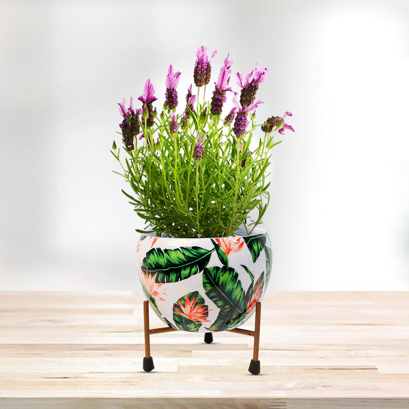REVA*  Home Décor Vase with Stand I Flower Pot / Indoor Plant Vase I DeskTOP / BedRoom Corner Table / Home Décor Centepiece / Living Room Décor  ShowPiece I 5'' I Metal WHITE-LEAVES