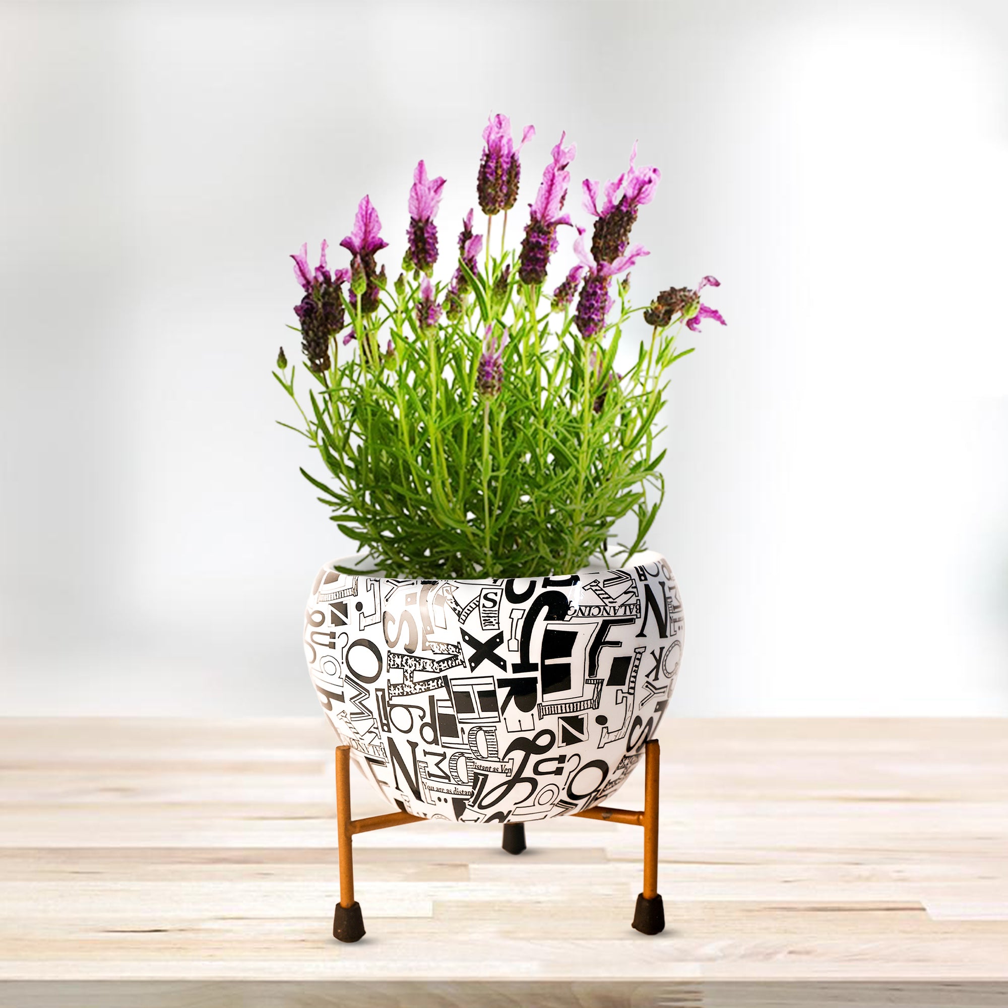 Indoor Metal decor Vase/Planter- White & Black