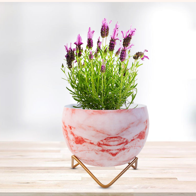 Home Décor Vase with Stand I Flower Pot / Indoor Plant Vase I DeskTOP / BedRoom Corner Table / Home Décor Centepiece / Living Room Décor  ShowPiece I 6'' I Metal RED-MARBLE I SET OF 2
