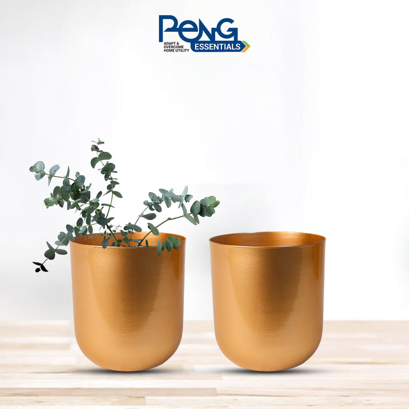 REVA*  Home Décor Vase I Flower Pot / Indoor Plant Vase I DeskTOP / BedRoom Corner Table / Home Décor Centepiece / Living Room Décor  ShowPiece I  5'' I Metal GOLD