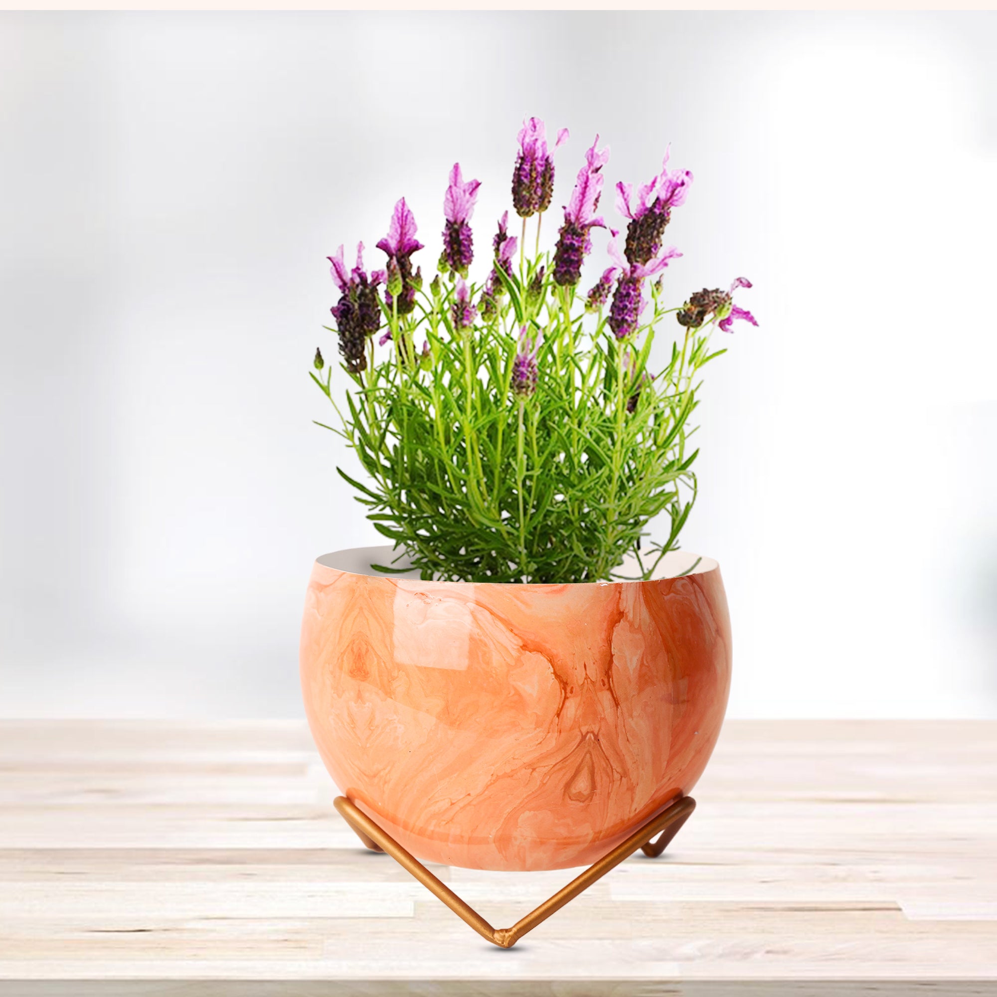 Indoor Metal decor Vase/Planter-  Orange