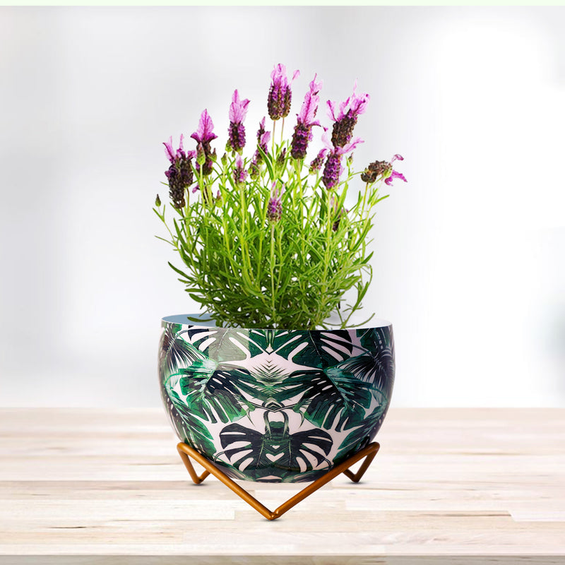Home Décor Vase with Stand I Flower Pot / Indoor Plant Vase I DeskTOP / BedRoom Corner Table / Home Décor Centepiece / Living Room Décor  ShowPiece I 6'' I Metal WHITE- GREEN LEAVES