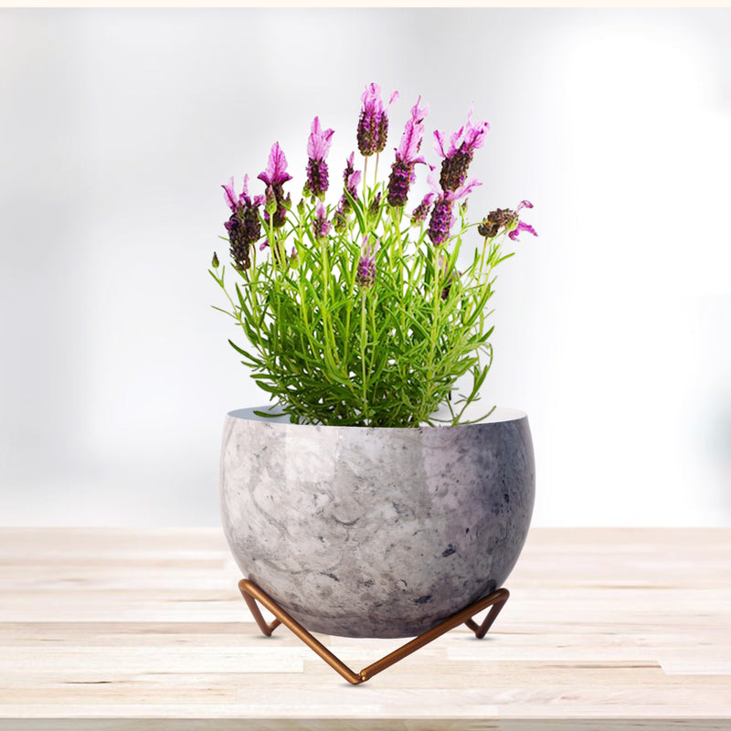 REVA*  Home Décor Vase with Stand I Flower Pot / Indoor Plant Vase I DeskTOP / BedRoom Corner Table / Home Décor Centepiece / Living Room Décor  ShowPiece I 6'' I Metal GREY
