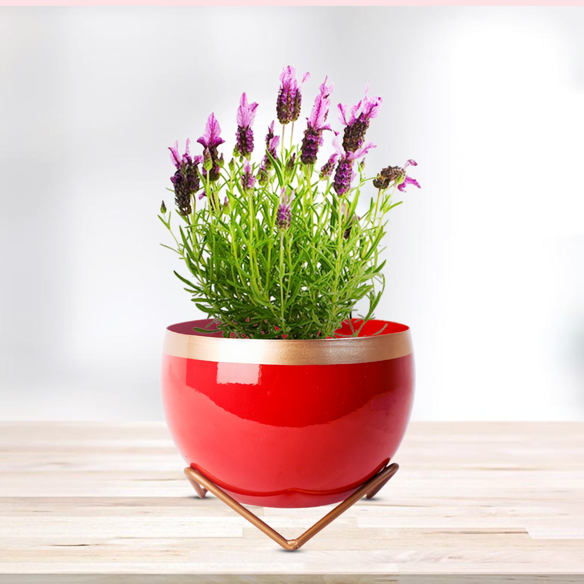Indoor Metal decor Vase/Planter- Red & Gold