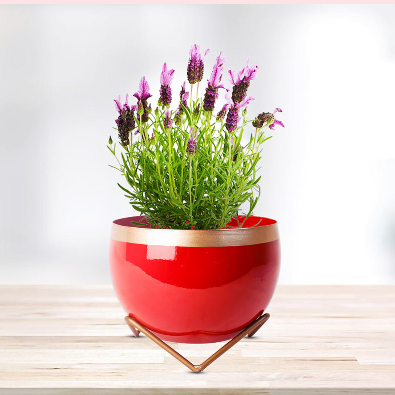 REVA*  Home Décor Vase with Stand I Flower Pot / Indoor Plant Vase I DeskTOP / BedRoom Corner Table / Home Décor Centepiece / Living Room Décor  ShowPiece I 6'' I Metal RED-GOLD