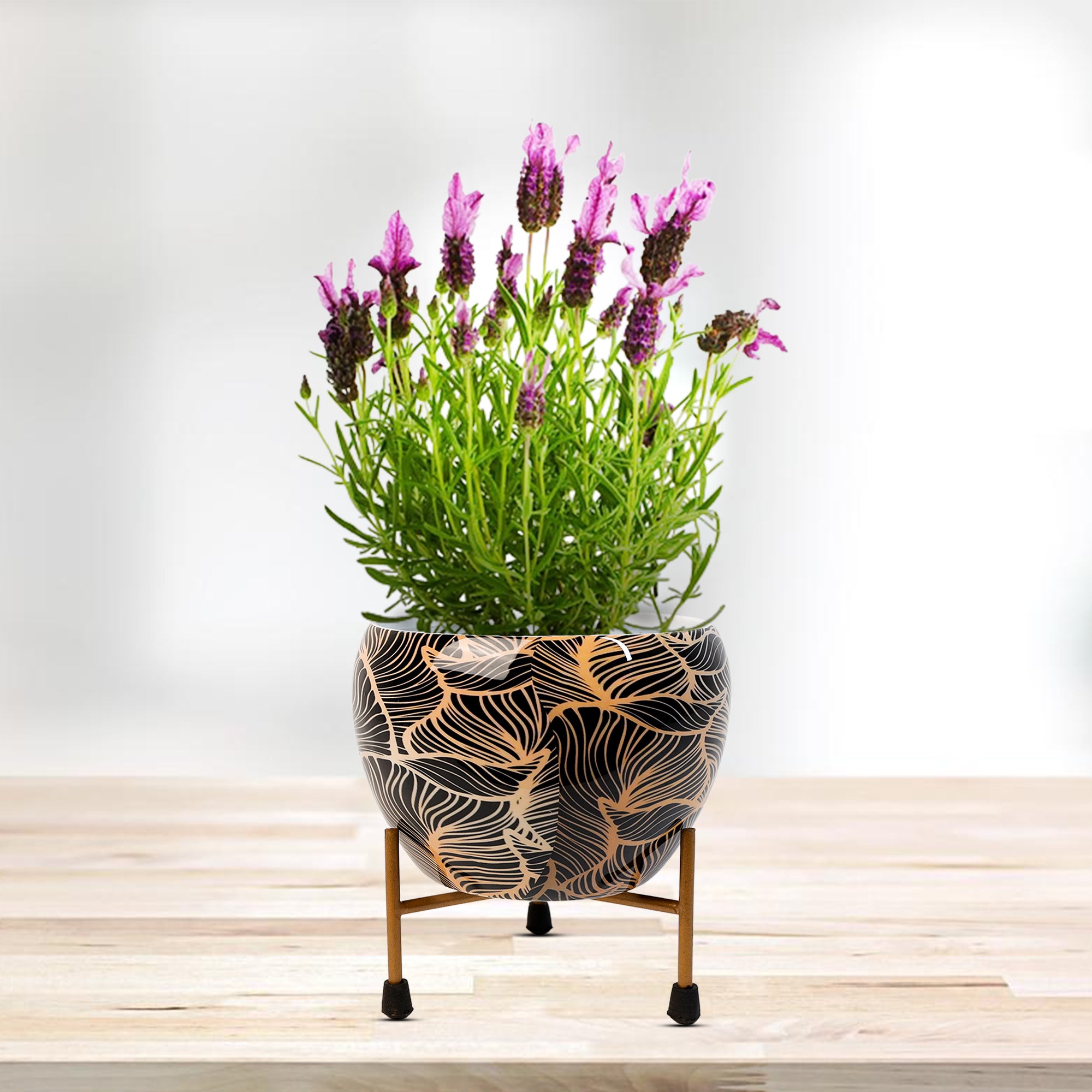 Indoor Metal decor Vase/Planter- Black & Gold