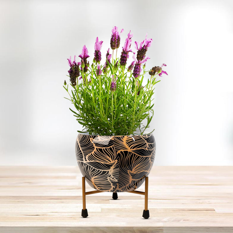 REVA*  Home Décor Vase with Stand I Flower Pot / Indoor Plant Vase I DeskTOP / BedRoom Corner Table / Home Décor Centepiece / Living Room Décor  ShowPiece I 5'' I Metal GOLD-BLACK
