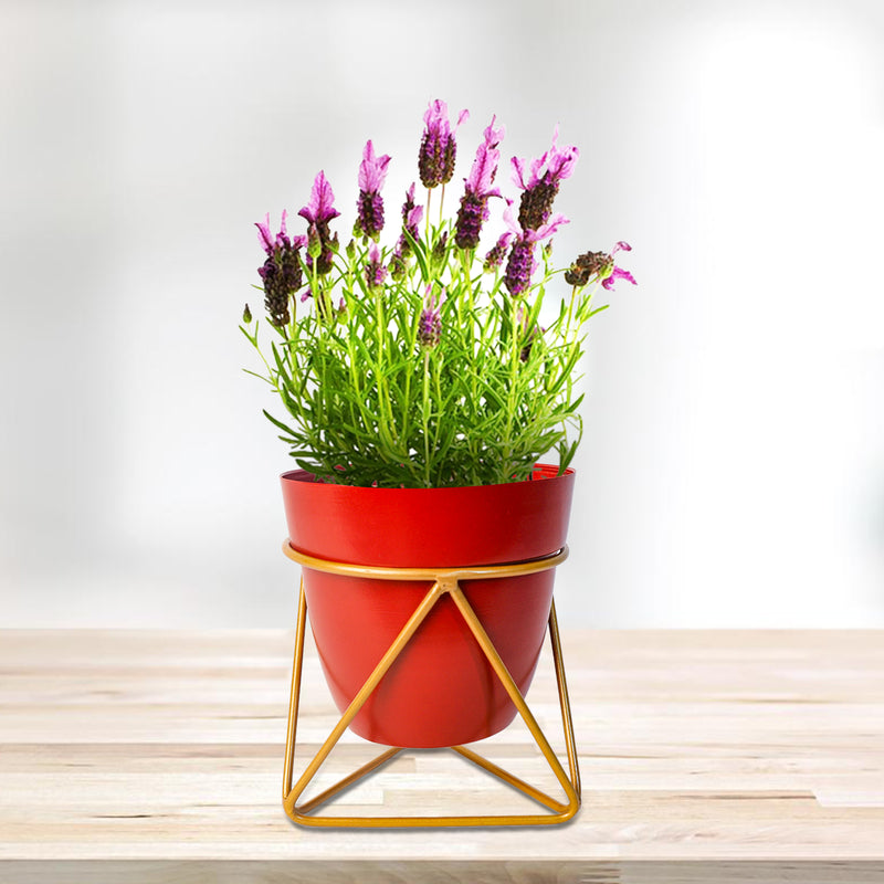 Home Décor Vase with Stand I Flower Pot / Indoor Plant Vase I DeskTOP / BedRoom Corner Table / Home Décor Centepiece / Living Room Décor  ShowPiece I 5'' I Metal RED & GOLD I SET OF 2