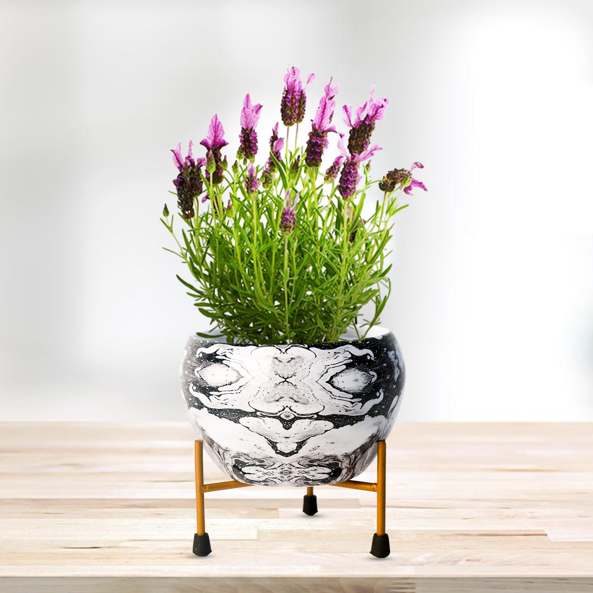 Indoor Metal decor Vase/Planter- White & Black Set of 2