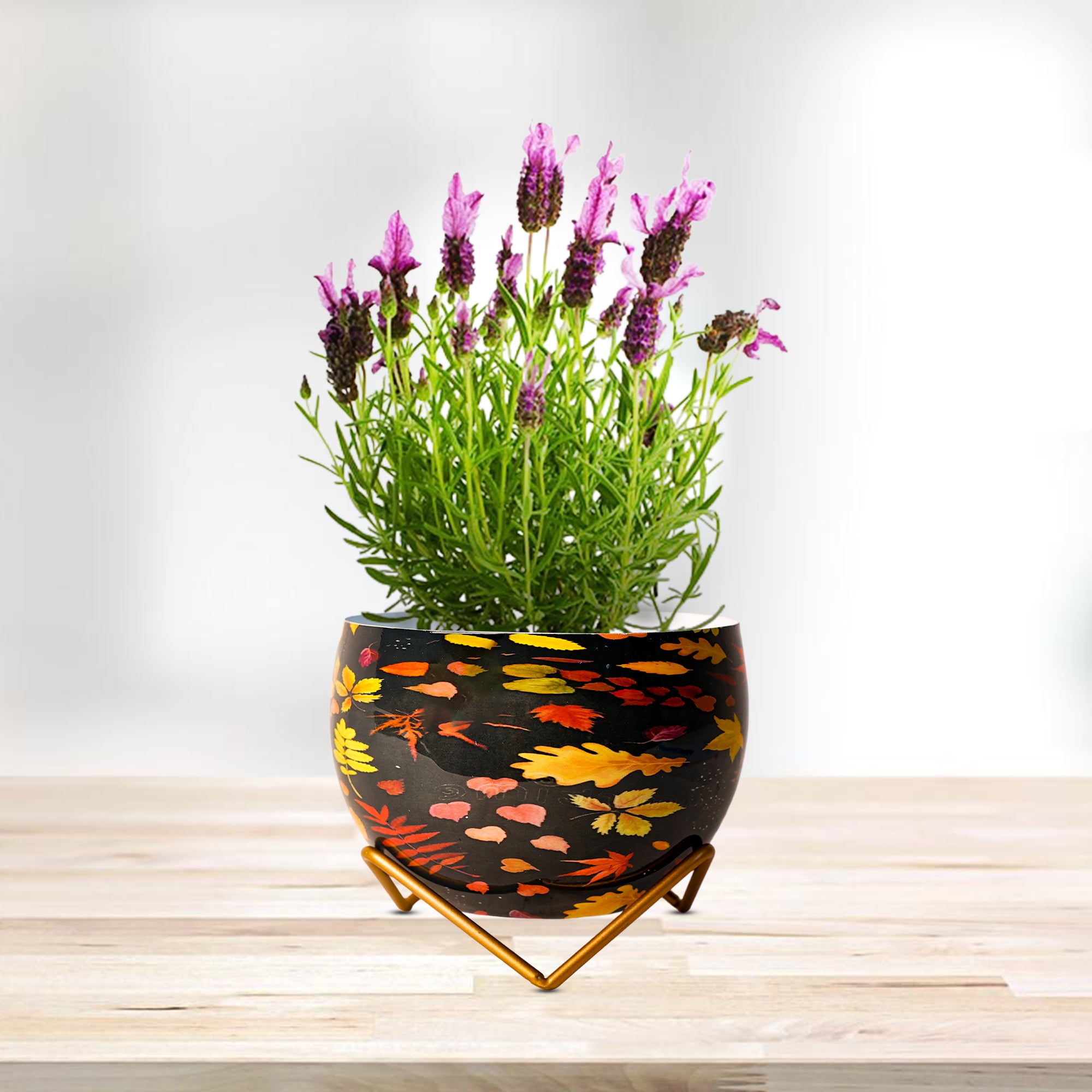 Indoor Metal decor Vase/Planter- Black & Yellow Set of 2